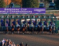 Image result for Breeders' Cup Trends