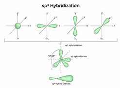 Image result for Sp SP2 SP3 Hybridization Examples