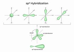 Image result for Sp3 Hybridization Bonds