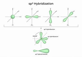Image result for Sp SP2 SP3 Hybridization Chart