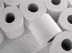 Image result for Keep It 100 Toilet Paper
