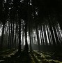 Image result for 4K Beautiful Dark Nature Scenery
