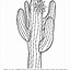 Image result for Arizona Coloring Sheet