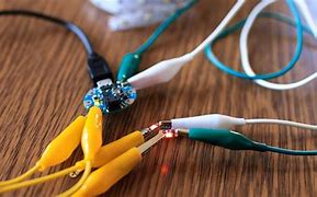 Image result for Jumper Wire with Alligator Clips