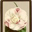 Image result for Vintage Botanical Clip Art