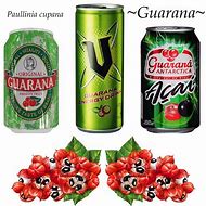 Image result for cupana