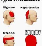 Image result for Headache Meme Template