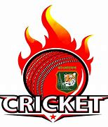 Image result for Cricket Magazine Puzzles