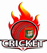 Image result for Cricket Pricker