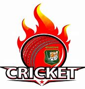Image result for Cricket Food Chinese