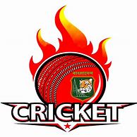 Image result for Kids Cool Cricket