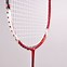 Image result for Apex Badminton Racket