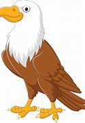 Image result for Eagle Caricature
