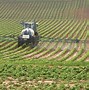 Image result for First-Rate Herbicide