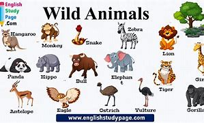 Image result for List of Wild Animals in Kenya