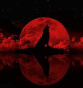 Image result for Wolf Howling Red Moon