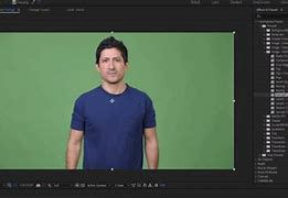 Image result for Portable Green Screen