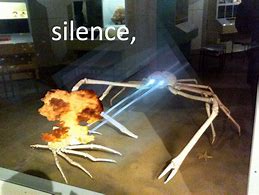 Image result for Japanese Spider Crab Silence Brand Meme