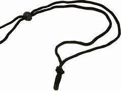 Image result for Sony RX100 Neck Strap