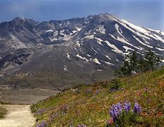 Image result for Mount Saint Helens Washington