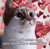 Image result for Cute Kitty Memes