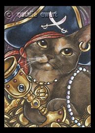 Image result for Pirate Cat Firework
