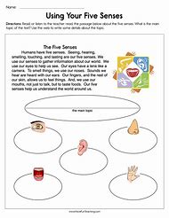 Image result for 5 senses worksheets