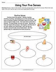 Image result for Free Preschool Worksheets Five Senses