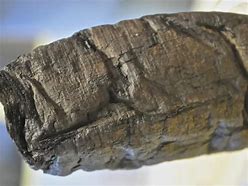 Image result for Herculaneum Papyri
