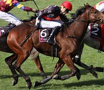 Image result for Race Horse Deathwatch
