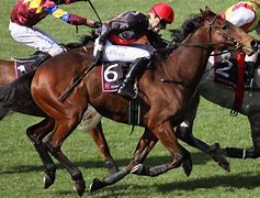 Image result for Triple Crown Horse Racing Logo