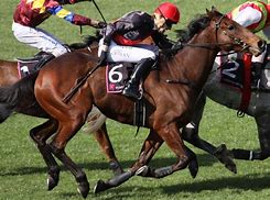Image result for Horse Racing Triple Crown Trophy