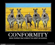 Image result for Social Psychology Memes Conformity