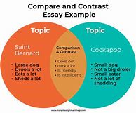 Image result for Compare and Contrast Essay Outline Second Grade