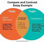 Image result for What Is a Comparison and Contrast