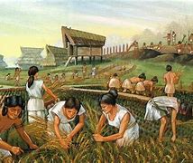 Image result for Ancient Mesopotamia Farming Tools