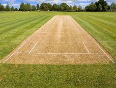 Image result for Cricket Pitch HD Image