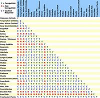 Image result for marine fish compatability chart