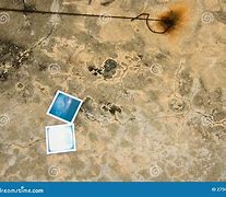 Image result for Polariod Camera On the Ground
