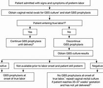 Image result for GBS Treatment Guidelines