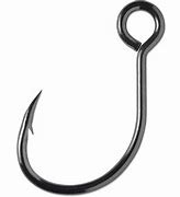 Image result for Large Fish Hooks