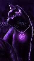 Image result for Como Estas Black Cat