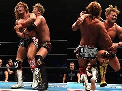 Image result for Lariat Move
