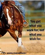 Image result for Horse Best Friend Quotes