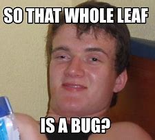 Image result for Bug Man Meme