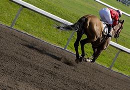 Image result for Movie with Racing Horse Fly