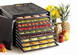 Image result for Best Dehydrator