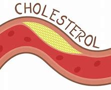 Image result for colesterol