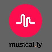 Image result for iPhone 5C Musical Ly