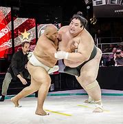 Image result for US Sumo